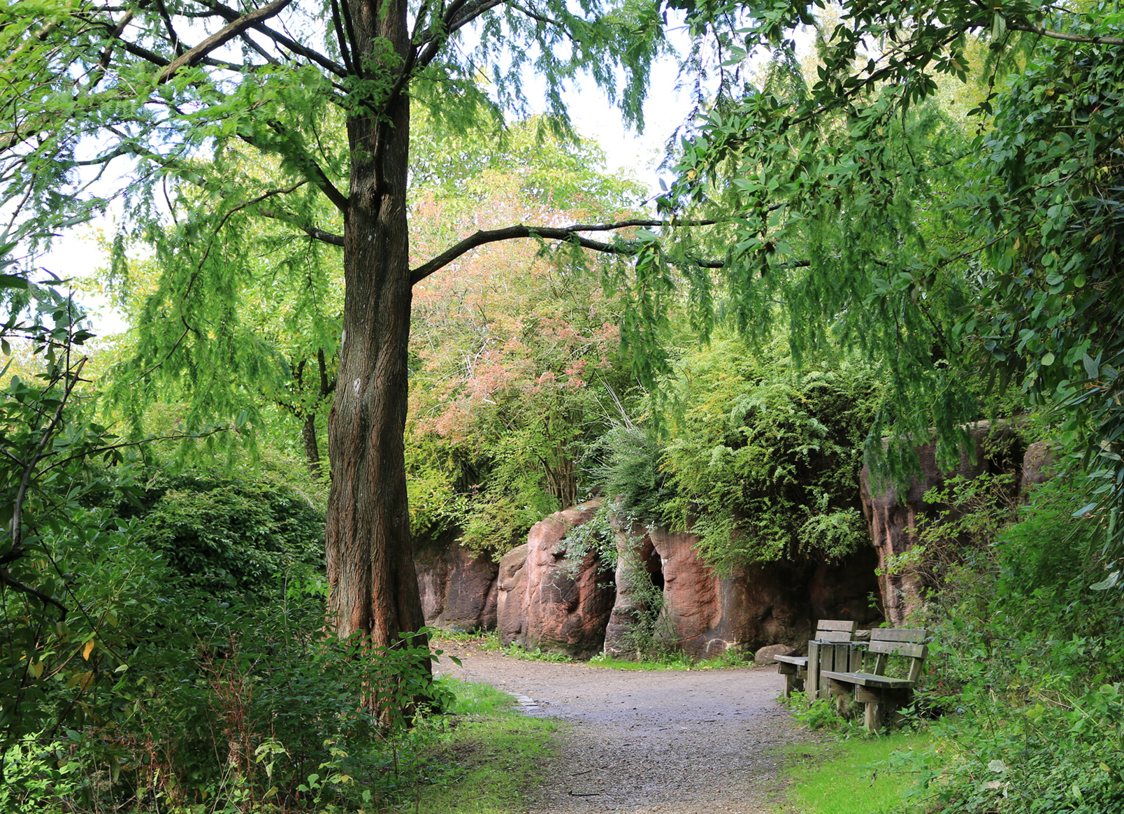 A leafy garden path surrounded by trees and rock formations at Geografisk Have